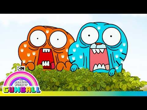 Who is this MYSTERY WOMAN?! | The Wonderfully Weird World of Gumball