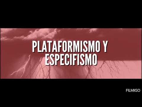 Platformism and Especifismo by LIZA, a platformist organization in Spain