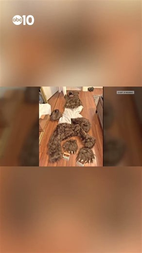 LA suspects convicted in $140K bear costume fraud case