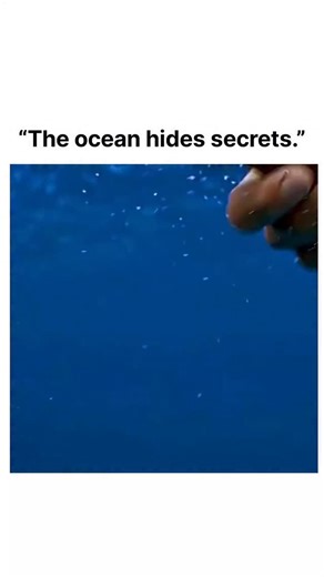 iconic scenes & viral clips on Instagram: "Follow @usa_bingehub for more!! 🎞 Title: Into the Blue 📅 Release Year: 2005 🎭 Genre: Action • Adventure • Thriller 🎬 Director: John Stockwell ⭐ Cast: Paul Walker, Jessica Alba, Scott Caan 📖 Plot Summary: A group of friends discover a sunken treasure while diving in the Bahamas. But their dream turns dangerous when they uncover a drug smuggling plane, pulling them into a deadly game of crime and survival. 🔥 Why It Goes Viral: ✔ Stunning underwater