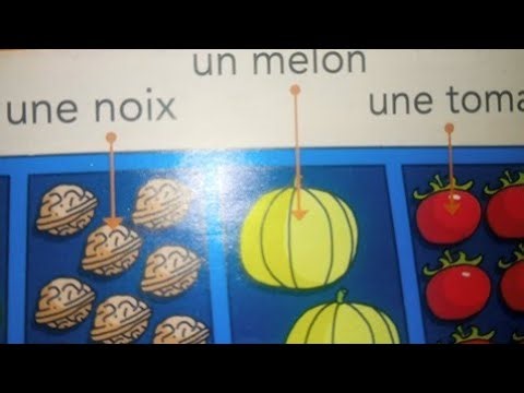 Lecture compréhension, texte 2 #Le Nouveau Vivre le français CP / p : 64@proffarid