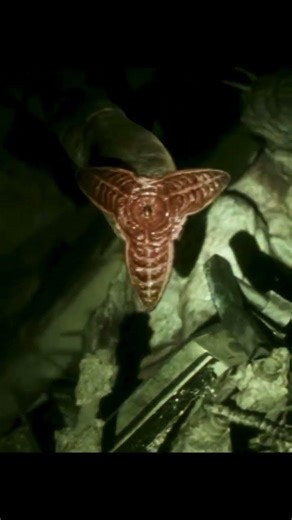 The Tomorrow War 🔥 Whitespikes vs Humans Stairs Fight 😱 INSANE Battle! #Shorts