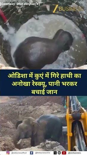 Odisha Forest Officials Rescue Elephant from 30-Foot Well Using Water