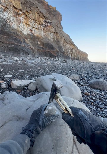We searched a Yorkshire beach for fossils and crystal and found a Jurassic Age ball of rock hidden within a huge loose boulder and opened it up with our geology hammer 🤯 We found an iridescent Dactylioceras semicelatum cephalopod fossil roughly 180 million years old 🏝️ You win some, you lose some! 🌅🦕 Thanks for supporting our page! 🐊 #fossilhunting #yorkshire #ammonite #beachcombing #fyp