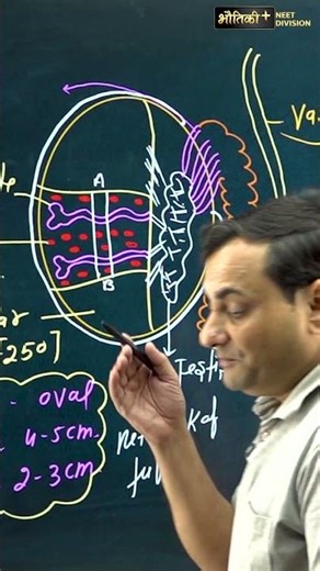Human reproductive system – where biology and wonder collide! | Dr. L B Patel Sir | Bhautiki Plus
