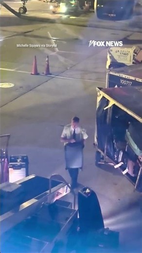 WATCH: Pilot helps load luggage after flight delay #shorts
