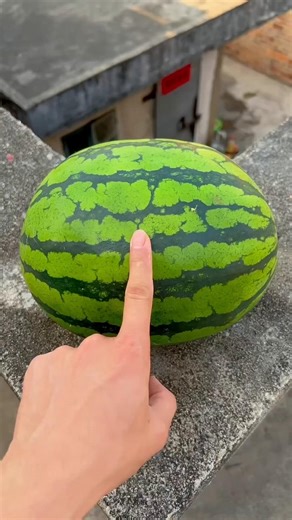 Experiment: Will a watermelon explode if it rolls down from a tall building?#shorts