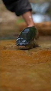 A 1,000-Year Old Taste 🐟 | Jingchu Fish Cake
