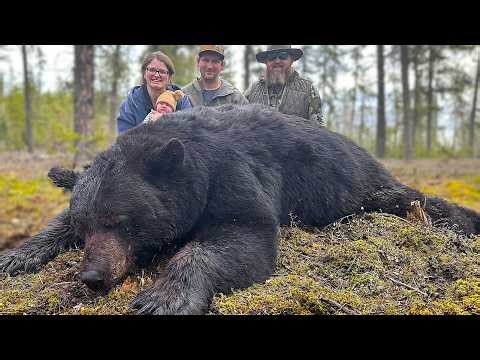 Big Black Bear Hunting - Northern Saskatchewan Canada