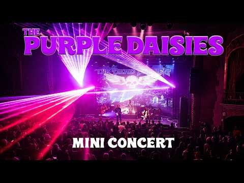 The Purple Daisies - Mini Concert