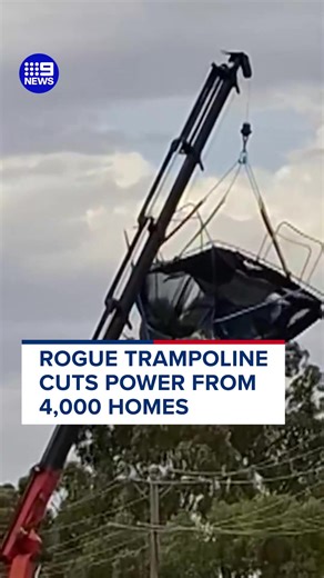 Unusual Power Outage Caused by Trampoline Incident