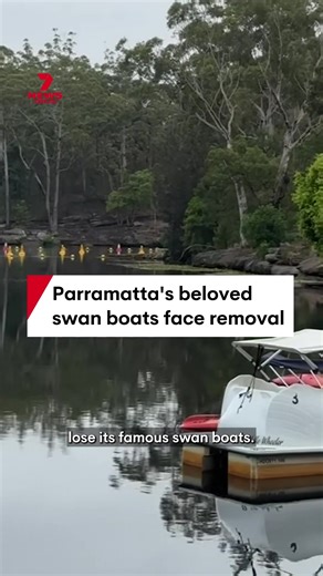 Parramatta Swan Boats Removal: Safety Concerns Explained