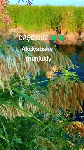 Daşoguz Akdyabsky Munjukly — Turkmenistan travel & culture highlights