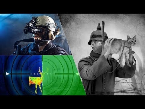 What are Night Vision Devices? How does Night Vision works? Night Vision Goggles & Glasses explained