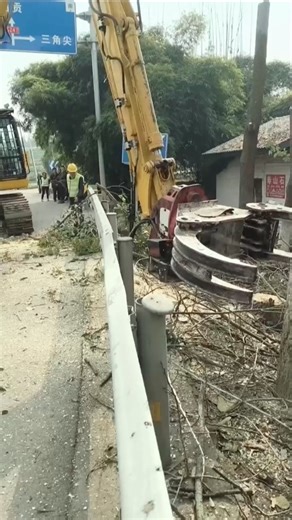 Ped Kaatne Wala King #shorts