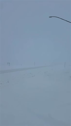 4RunnerPowered on Instagram: "As long as you got your runner, you goood 👍 . . @t4r_palma . #toyota #4runner #offroad #4runnerpowered #runner"