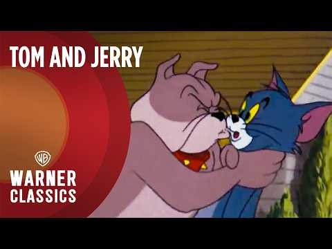 Tom and Jerry | Mega Compilation | Vol. 43 | Spike the Bulldog | Warner Classics