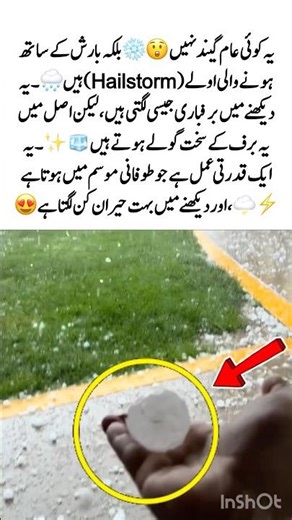 Hailstorm Looks Like Snow 😲❄️ | Nature’s Power 🌧️ #Hailstorm #Weather #Nature #Viral #Amazing