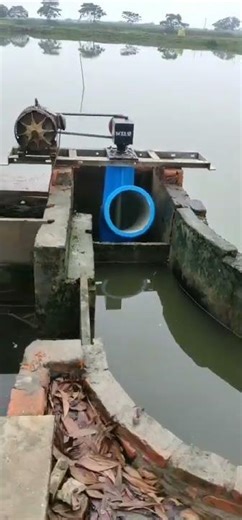 Shrimp farming fish farming type vertical axial flow pump with big flow and low head for aquaculture