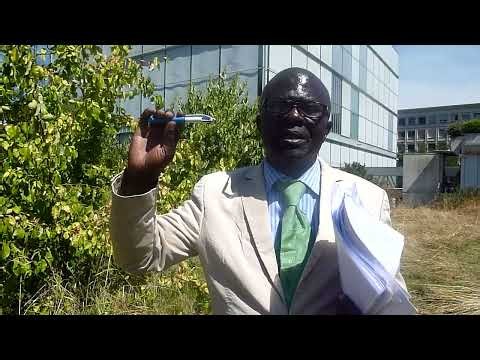 PROFESSOR NKOUNKOU PEOPLE'S 1.10 ELECT UN CHIEF-NEW YORK,PEACE MIDDLE EAST,SARAOUIS,GLOBAL AFFAIRS