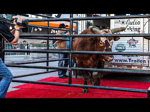 Bushwacker Took Over Hollywood! 👑 PBR VIP Tour