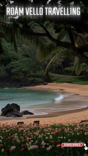 Tropical Beach Paradise 🌴🌊 | Beautiful Ocean Waves & Peaceful Nature | Relaxing Travel Video 4K