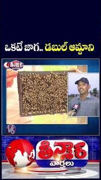 Adilabad Farmers Integrate Honey Cultivation with Vegetable Farming | V6 Teenmaar
