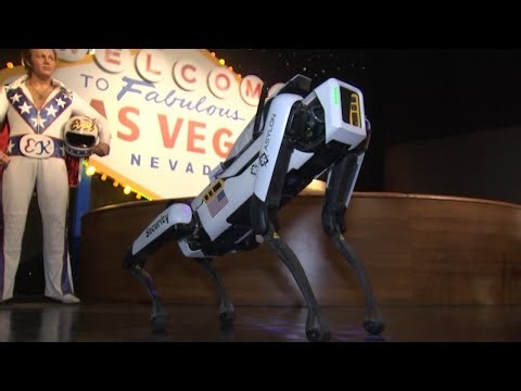 Robotic security dog patrols Las Vegas Strip attraction