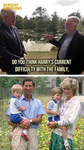 Charles Spencer on handling of Prince Harry's grief after Princess Diana's death #shorts