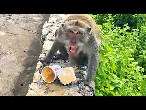 Best Fails of the Week | Morons Caught on Camera