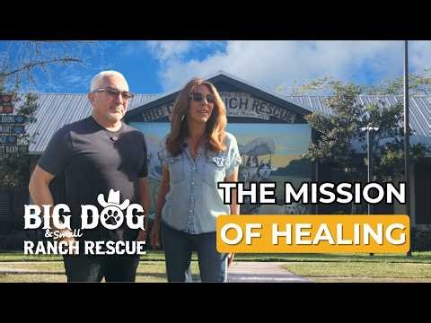 Inside One of the World’s Most Incredible Dog Rescues