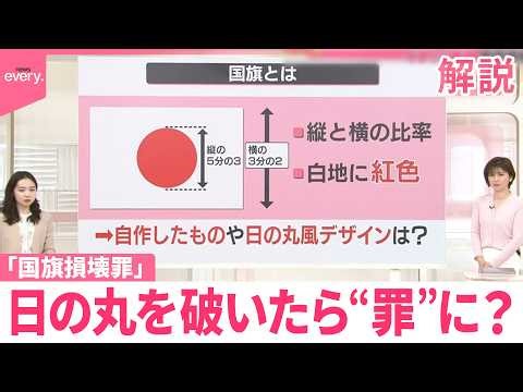 【解説】自民党｢国旗損壊罪｣創設へ初会合 日の丸を破いたら“罪”に?【イチから確認 高市政策】