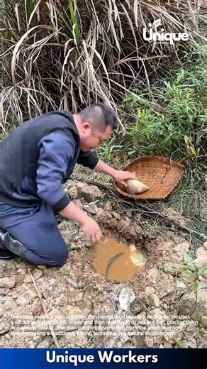 Catching Fish from a Mud Hole: Traditional Fishing Techniques