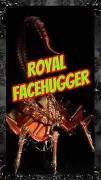 Royal Facehugger explained #alien #xenomorph #facehugger #alienvspredator #alienearth #fyp #alien3