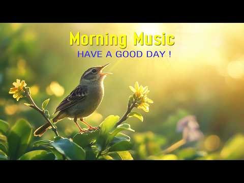 POWERFUL MORNING MUSIC - Wake Up Happy & Positive Energy - Morning Meditation Music to Stress Relief
