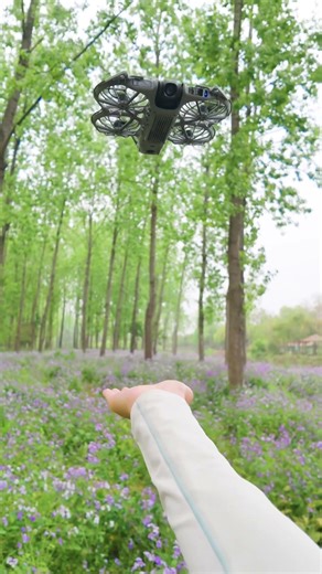 Hand raus – und die DJI Neo 2 kommt sanft zurück. 🌸🛸