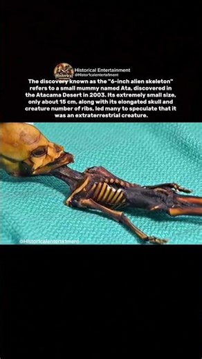 Looks Like an Alien, Turns Out to Be Human Uncovering the Secrets of Ata's Mummy#shorts#skeleton