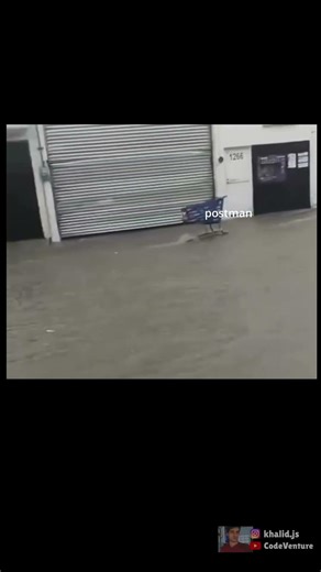 How it feels using Postman #coding #programming #javascript #python