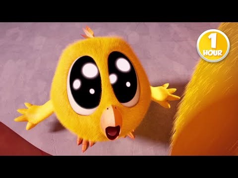 CHICKY | The Giant Stuffed Animal | 1 Hour Compilation | KIDS & FAMILY CARTOON