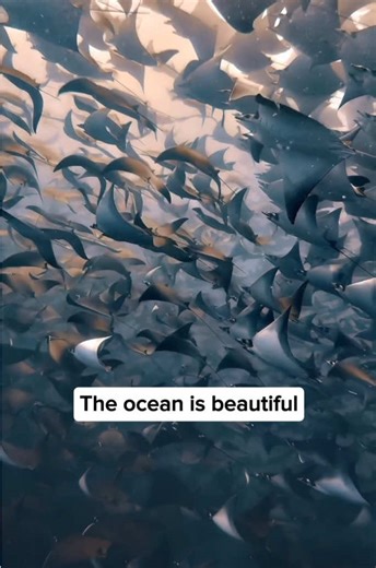 Clean River Recycling Solutions