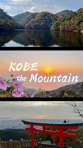 Happy New Year! As one of the things to do in Kobe this year, let's hike the Rokko mountain range! As the most accessible mountain in Japan, they offer beautiful scenery all year round! Stretching 50km from east to west with 24 peaks, the Rokko mountain range is said to be the closest mountain range to a city in Japan. From the moment the sun rises to the sun sets, every scene will take your breath away. Along the trail, you will encounter a variety of scenery including rugged rocks, mountaintop