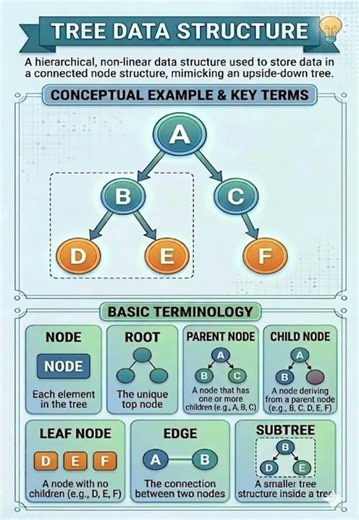 Tree Data Structure in Data Structures – Types, Terminology, Traversal & Applications