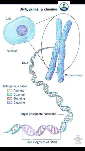 “Can DNA predict future?”👉 Mystery + curiosity
