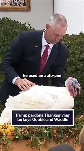 Trump pardons Thanksgiving turkeys, takes shot at Biden