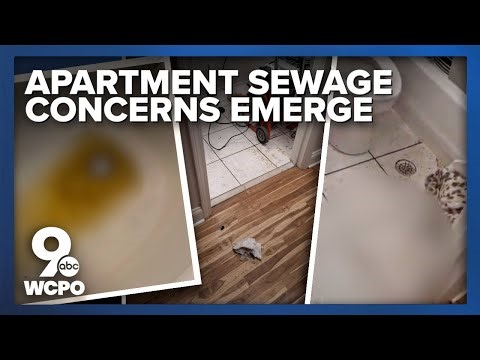 Woman says her apartment has human feces caused by sewage backups