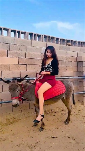 Life With Donkeys – Raising and Riding Together