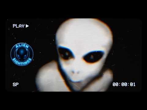 ALIEN GREY AREA 51