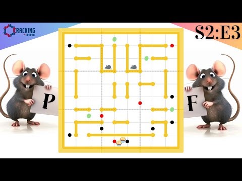 Are You Good At Mazes? Solve This NEW Rat Run! (S3:E3)