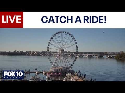 🔴LIVE: WEBCAMS around the world | October 8 | FOX 10 Phoenix