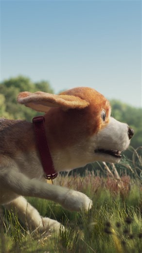 The Humane Society of the United States and Humane Society International have united all efforts under one name, Humane World for Animals - one global mission to protect every animal, everywhere. Together, we'll continue to fight for a better, more compassionate world and end animal cruelty. Join us! #HumaneWorld #EndAnimalCruelty | Humane World for Animals